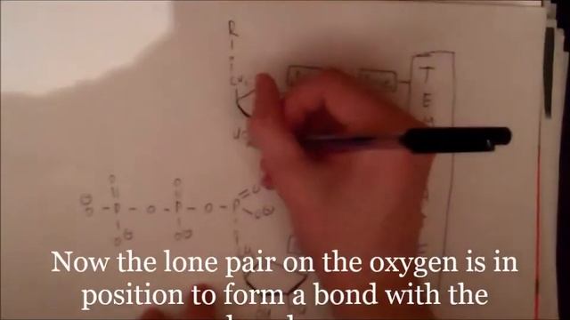 Replication Mechanism
