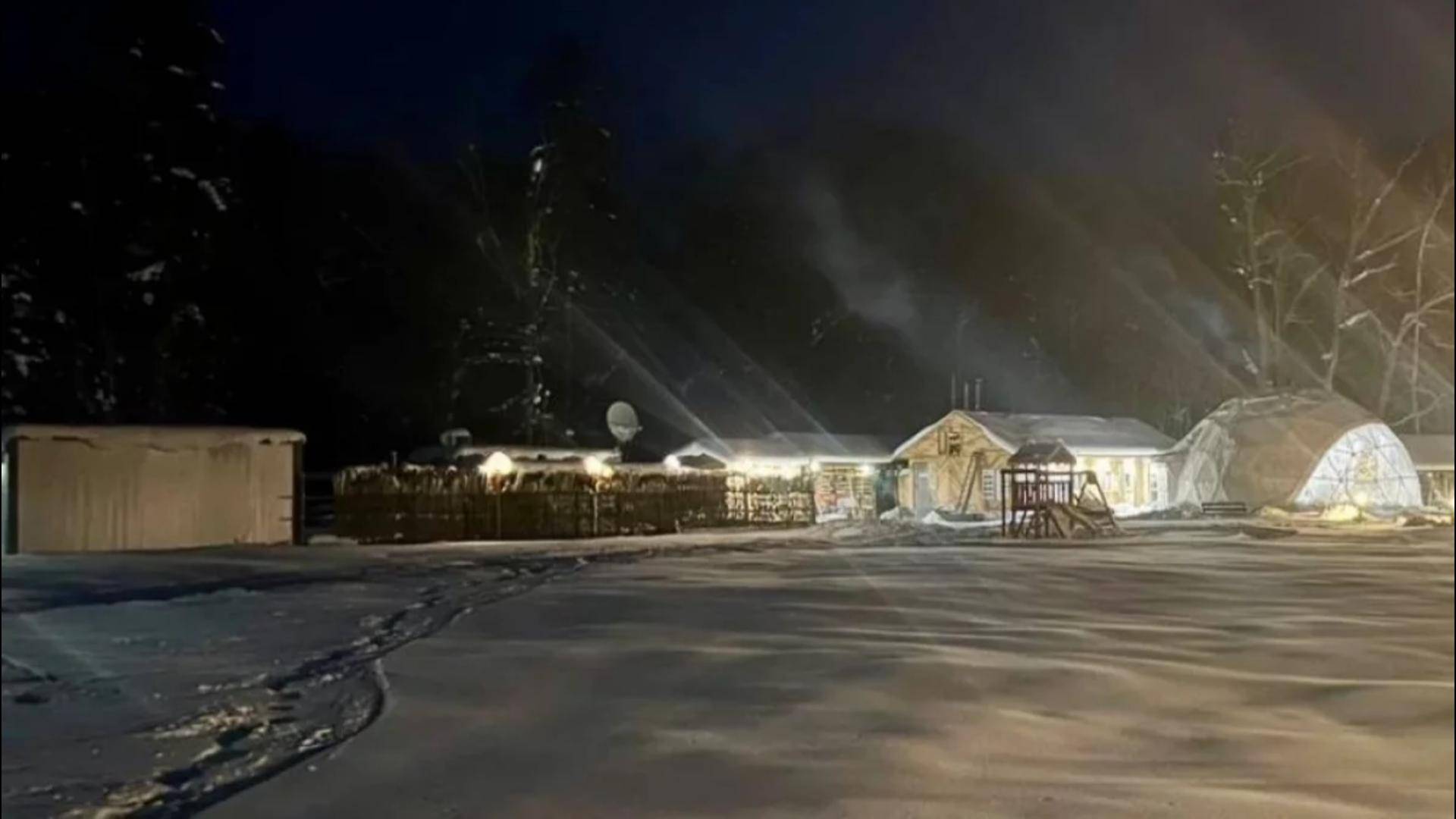 Тигр напал на мужчину на базе отдыха в Хабаровском крае смотреть онлайн