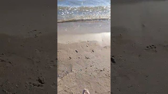 Я на море🌅 на моём канале скоро будут влоги а это можно сказать мини влог #глобальные реки# подпиши смотреть онлайн