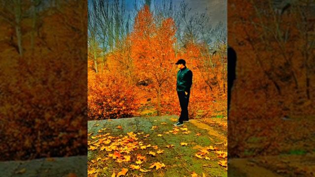 Shohini Nasimi - СТУДЕНТ - 2024