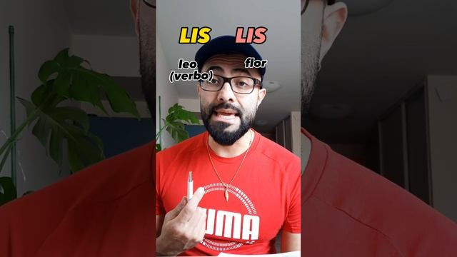 Palabras homógrafas en francés #cursofrances #aprendefrances #fle #latinosenfrancia смотреть онлайн