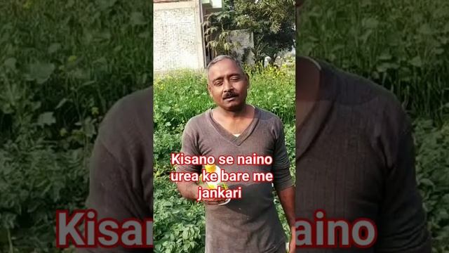 naino urea liquid aur naino DAP ke bare me jankari смотреть онлайн