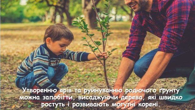 Вода. Значення води в природі та житті людини.