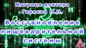 Матрица Гаряева. Восстановление работы ЖКТ. По технологиям Тертышного-Гаряева-Райфа