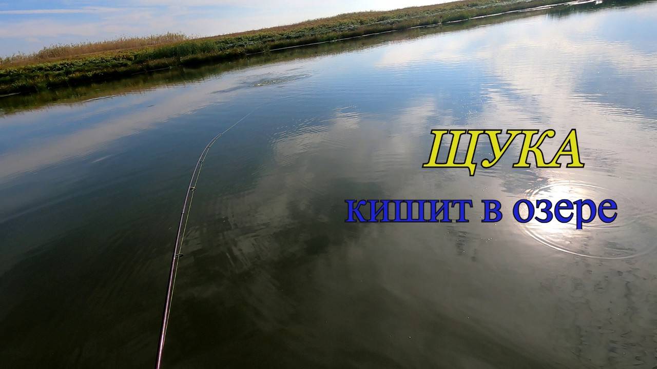 Нашел озеро, где щука кишит. Осенняя рыбалка на щуку, отлично порыбачил. смотреть онлайн