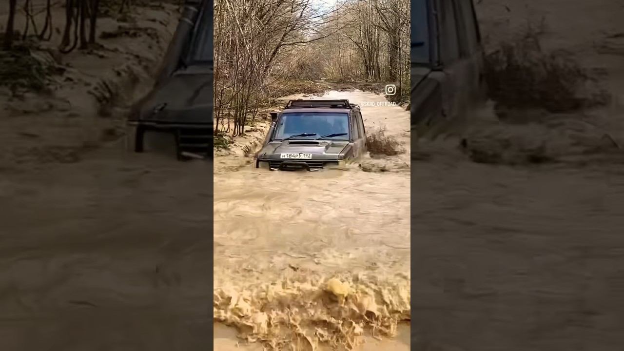 В лесу после месяца дождей, даже обычные маршруты стали сложными #toyotaLC70 #3uz в глубокую колею смотреть онлайн