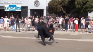 Показательные выступления отряда специального назначения SCORPION 10 08 23