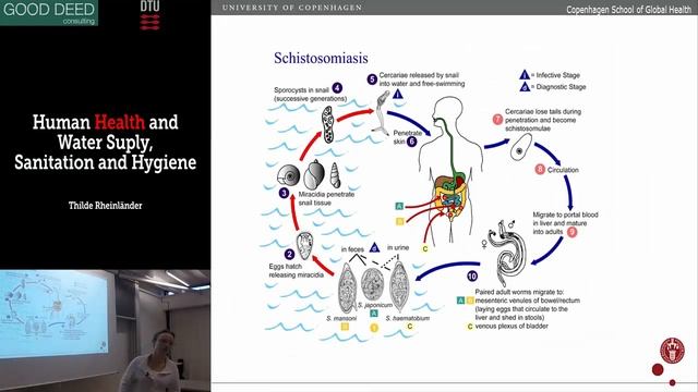 Environmental Health, part 2 (Thilde Rheinländer): Schisto., hookworm, trachoma and guinea worm смотреть онлайн