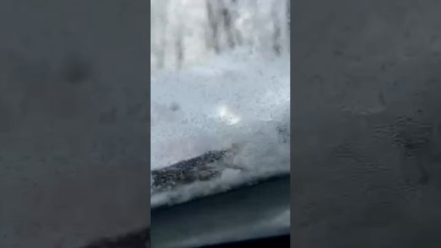 Лесная сказка смотреть онлайн