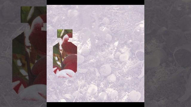 Hugo Boss: The Scent for Her Peaches смотреть онлайн