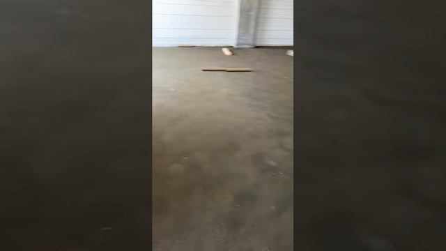Идеально ровная стяжка пола в Томске 8 3822-28-28-07 #строительство #стройка #shorts смотреть онлайн