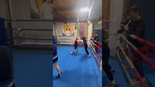 Спарринги в Monarch boxing 🥊 бокс дети Муса 30 кг 2012 Гр смотреть онлайн