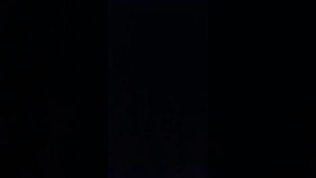 PSA about Mycoplasma Genitalium смотреть онлайн