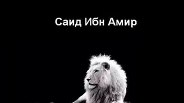 Саид ибн Амир смотреть онлайн