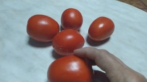 Томат Сливки красные Рио Гранде.Сезон 2023. Низкорослый, очень урожайный.