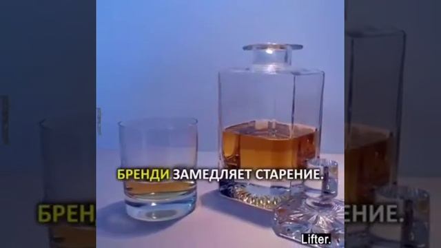 18 декабря 2017 г. смотреть онлайн