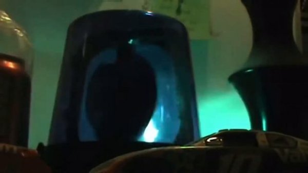 Ghostbusters Ecto 1 siren