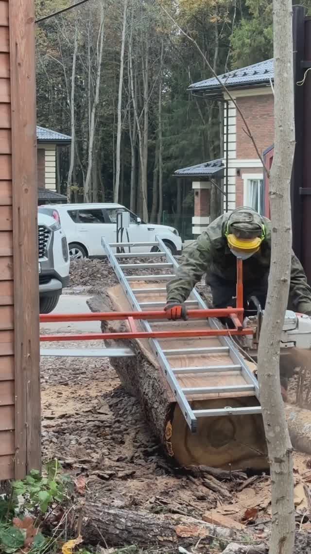 А соседи пустили ДУБЫ на ДРОВА! 🪵