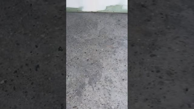 Бетонные полы в Томске 2700м2 Академгородок #shorts #промполы смотреть онлайн