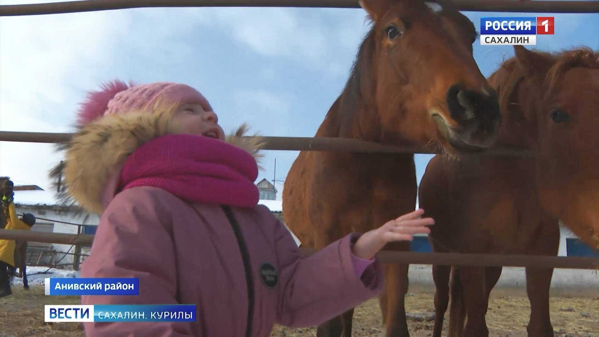 "Вести. Сахалин. Курилы". 14 декабря 2024 года смотреть онлайн