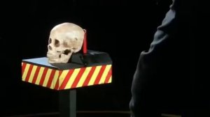 кастет.проверка черепа на прочность