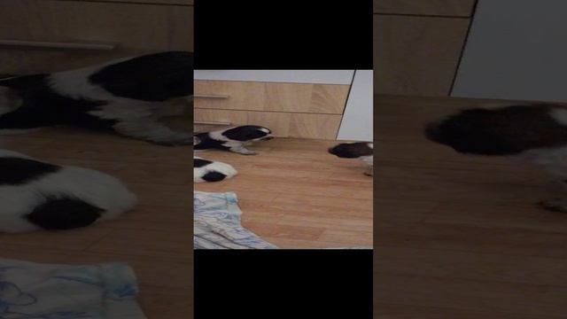 VID_20241216_192114 смотреть онлайн