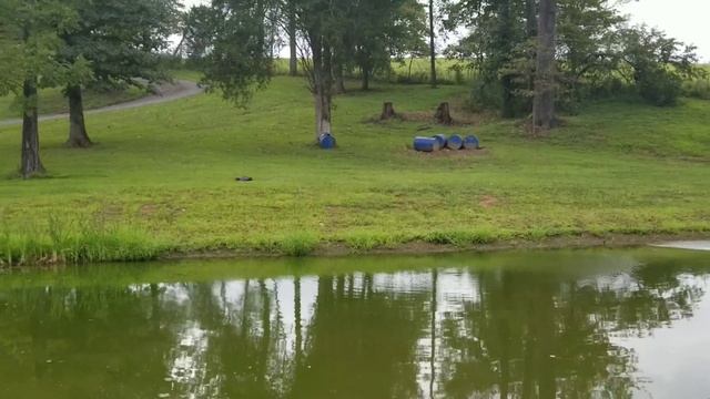 New Traxxas Rustler 4x4 VXL 3S Speed Runs, Hydroplaning, and Jumps! Bashing смотреть онлайн