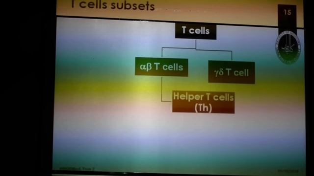 Immunology - Lymphocytes in immunity - Dr.Emad - Part 2 смотреть онлайн