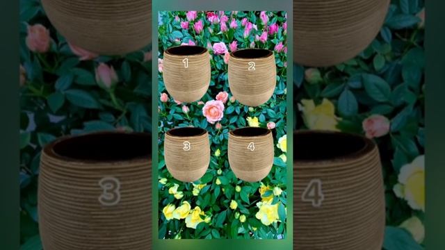 Тест на интуицию. Проверьте за 20 секунд смотреть онлайн