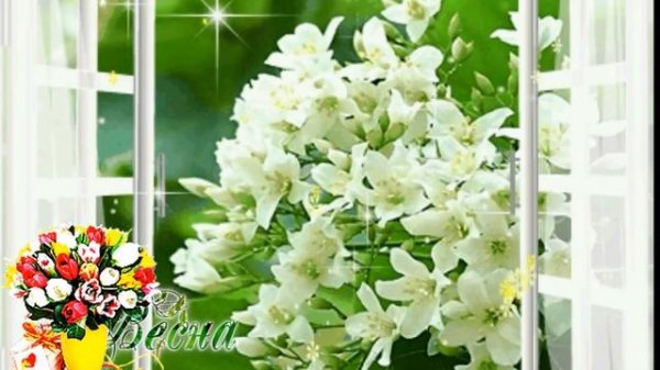 ТОЛКУНОВА А ВРЕМЯ НЕ УБАВЛЯЕТ ХОД