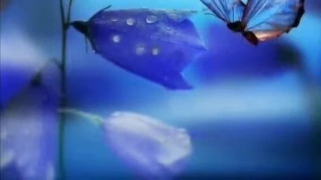 Майкл ньютон. Предназначение Души. 18 смотреть онлайн