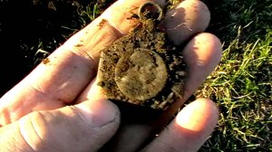 Эхо первой мировой войны.Австрийский крест.