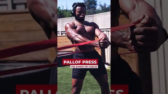 BEST Ab Exercises For SHREDS And STRENGTH