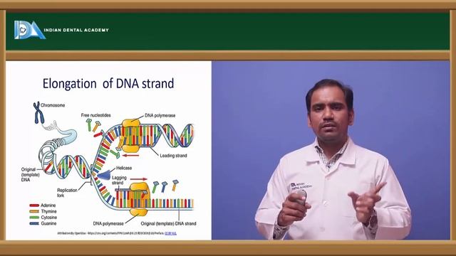 Replication #ORE#NBDE#INDIANDENTALACADEMY смотреть онлайн