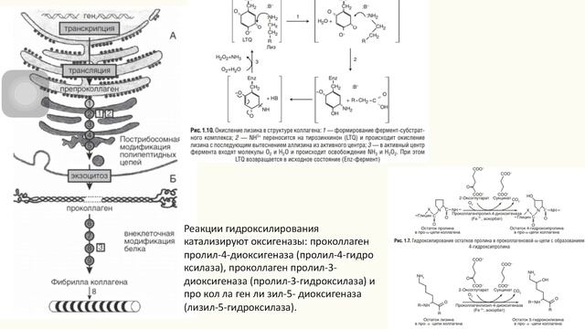 Тема 17. Темирова М. Группа Л1-с-о-182В. Преподаватель доцент Ткачева Н.Ю. смотреть онлайн