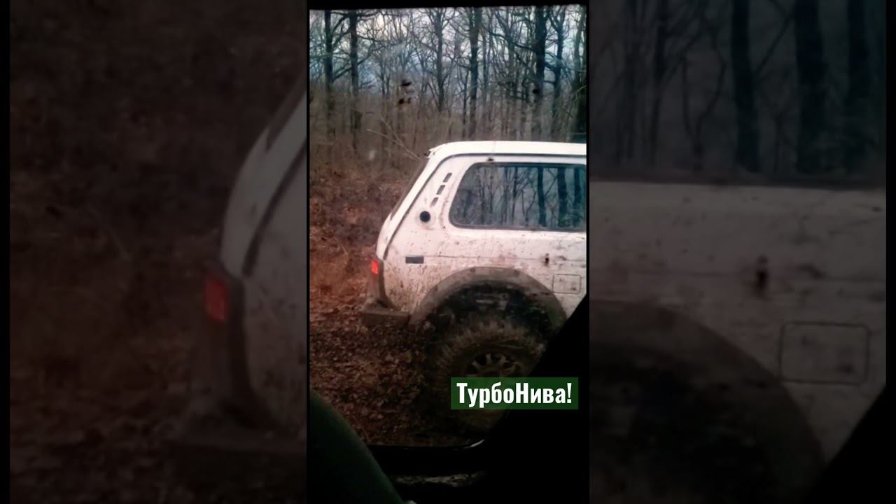 Скоро на канале! ТурбоНива на мощных приводах! #skrdlife #offroad смотреть онлайн