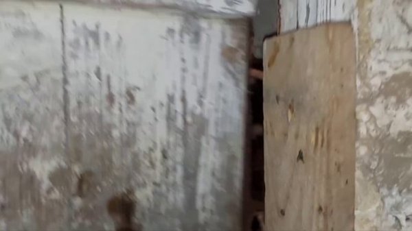 Что это у неё такое??? Натяжной потолок в сарае готов.