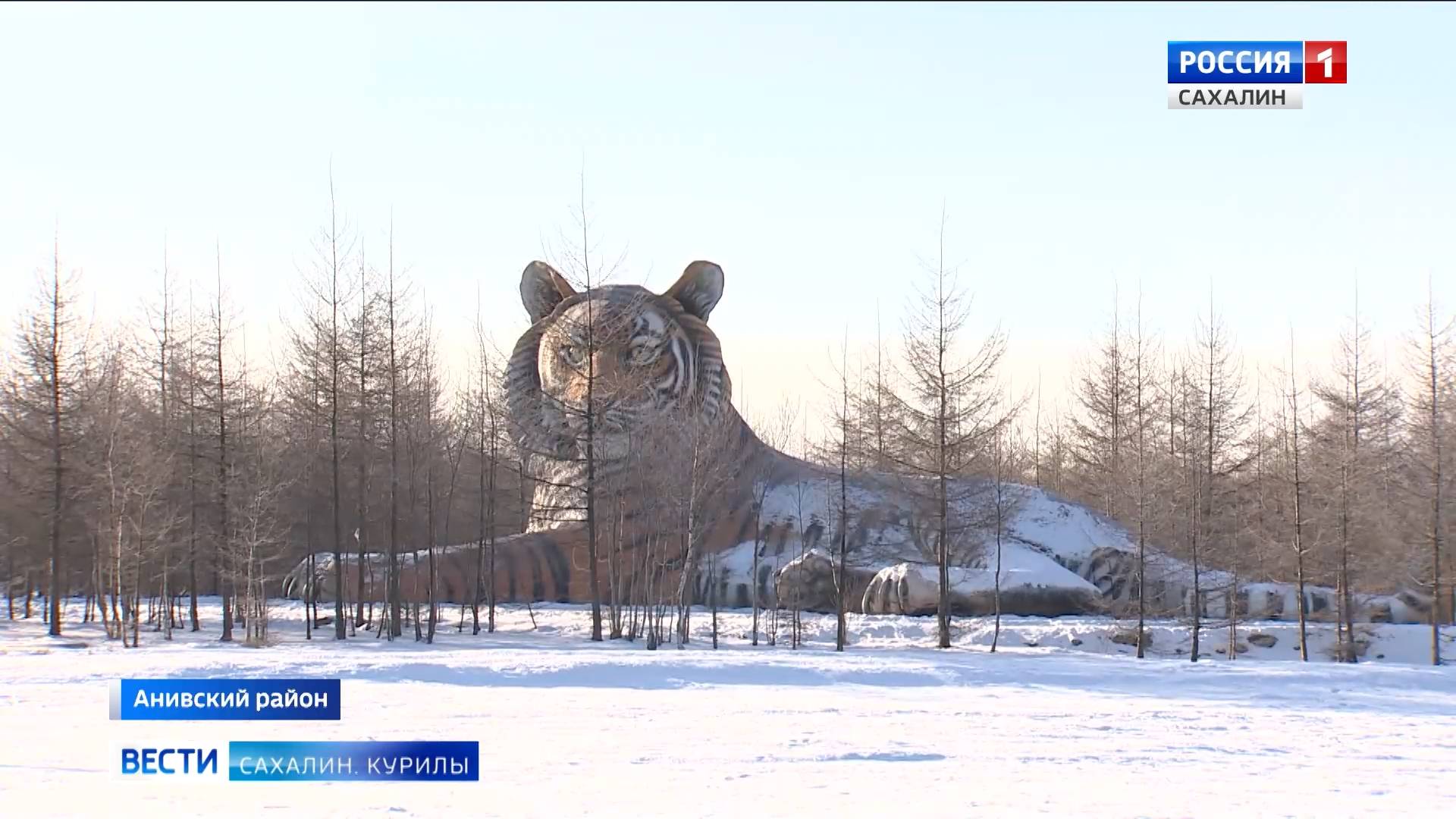 "Вести. Сахалин. Курилы". 13 декабря 2024 года смотреть онлайн