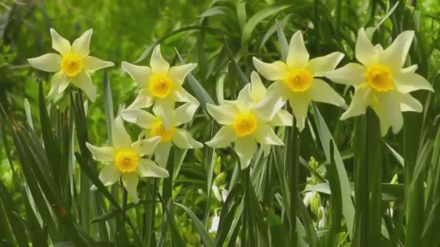 ---Красивая Музыка Для Души---.