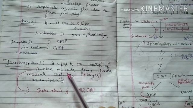 Biosynthesis of Purine and Pyrimidine Nucleutides.by Sonika Mam смотреть онлайн