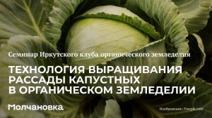 3 сезон 14 семинар. Технологии выращивания крестоцветных