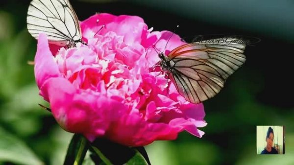 Frank.Duval-Best of Frank Duval(1994)Самая&Galina