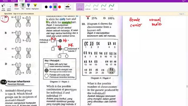 KSSM F5 C11 Inheritance Exercise Part 2 смотреть онлайн