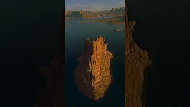 Очень важная часть головного мозга - мозжечок