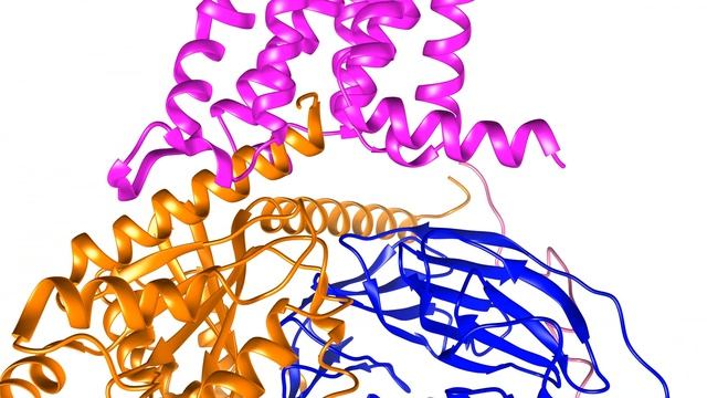 3D protein structure of CB2-Gi смотреть онлайн
