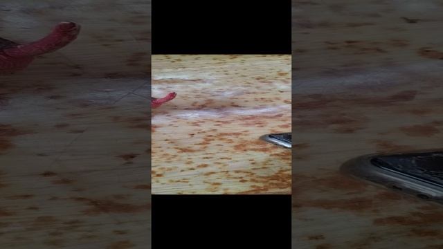 Мелкий Гусь 3 серия