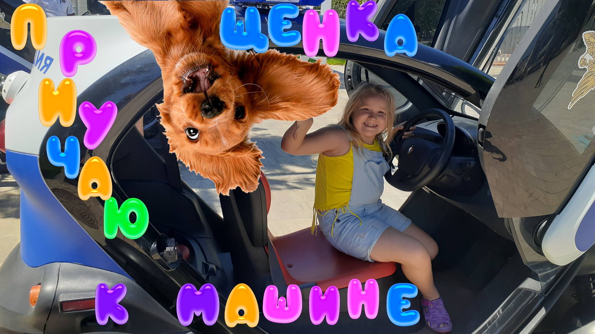 Приучение щенка к машине - день 2 смотреть онлайн