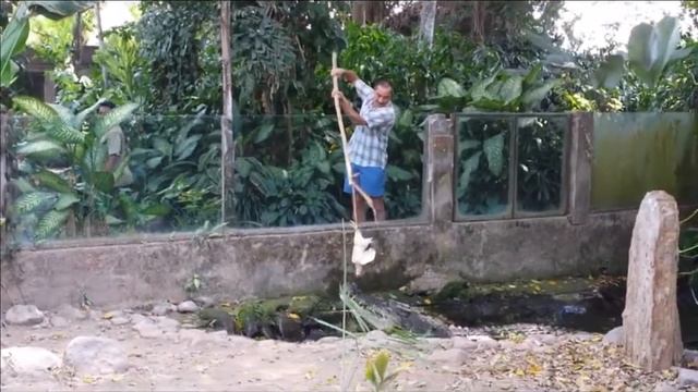 Bali bird park 2015, Orchid park . Парк птиц на Бали 2015 смотреть онлайн