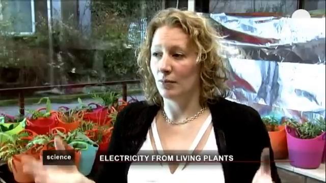 Рослини-електростанції - science смотреть онлайн