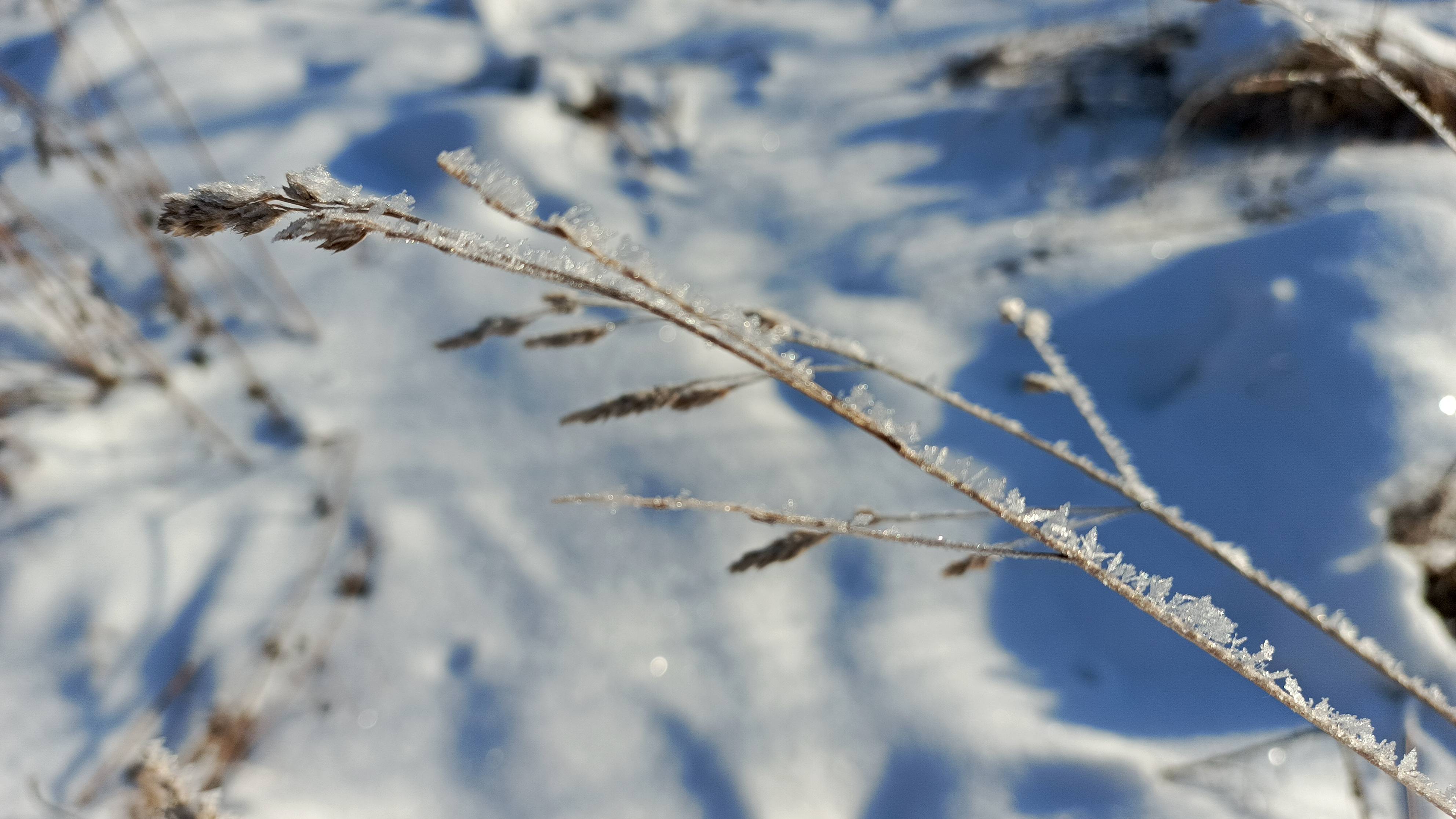 # 39 Нашему каналу, 5 месяцев/ Приглашаю в гости, новых друзей/ Новый формат видео